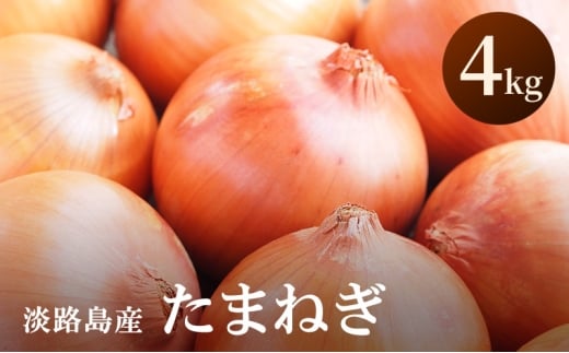 淡路島産 玉ねぎ 4kg 玉ねぎ タマネギ 甘い 兵庫県 洲本市 淡路島 