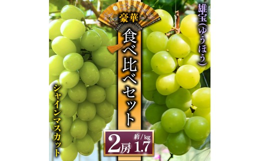 【予約】「シャインマスカット」と希少品種「雄宝」 ぶどう食べ比べ 後藤ぶどう園 希少  ぶどう旬 新鮮 期間限定 皮ごと ブドウお取り寄せ　熊本県　阿蘇市