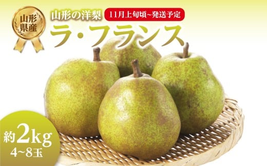 《先行受付》ラ・フランス 約2kg（4～8玉） 【2025年11月上旬頃～発送予定】【山形洋梨】 【001-103】