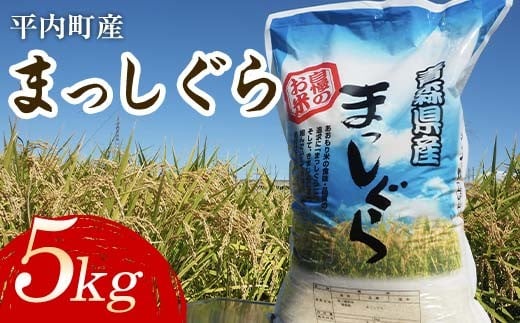 100年続く米農家 まっしぐら 5kg （令和7年産） 【マルサンファーム】 白米 精米 米 お米 おこめ コメ 東北 青森県 平内町 F21J-118
