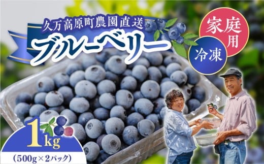 農園直送 手摘み 家庭用 冷凍 ブルーベリー 1kg | 愛媛県 久万高原町 青木農園 高原栽培 国産 フルーツ ベリー ジャム おやつ 製菓用 スムージー ヨーグルト 朝食 ビタミンC 食物繊維 長期保存 ※2025年10月上旬頃より順次発送予定 2242863 - 愛媛県久万高原町