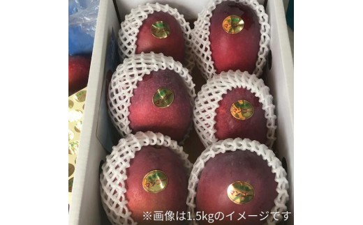 <先行予約・数量限定>宮平農園のマンゴー2kg【アーウィン・家庭用】MH004