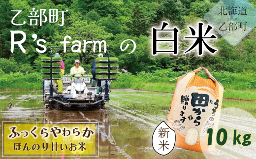 ＜北海道の米(10kg)～ふっくらつややか！若い農家が作る米～＞米 国産米 北海道 道産 道産米 1554110 - 北海道乙部町