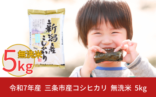 新米 先行予約 無洗米 新潟県三条市産コシヒカリ 5kg こしひかり 令和7年産 米 [株式会社白熊]【010S100】 868243 - 新潟県三条市