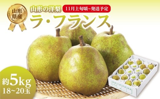 [先行受付]ラ・フランス 約5kg(18〜20玉)[2025年11月上旬頃〜発送予定][山形洋梨]ラフランス 山形県 大江町 フルーツ 果物 西洋梨 デザート 洋梨 梨 ナシ 大玉 大きい JA さがえ西村山 [001-082]