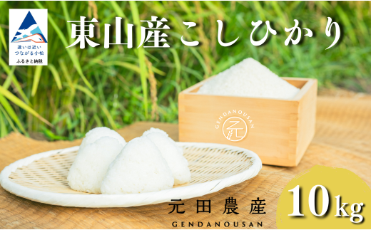コシヒカリ 精米 10㎏ お米 白米 小松市 石川県 こしひかり【元田農産】