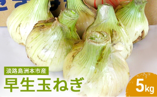 ふれあい市の会 早生玉ねぎ 5kg 淡路島 玉ねぎ タマネギ 兵庫県 洲本市 淡路島 
