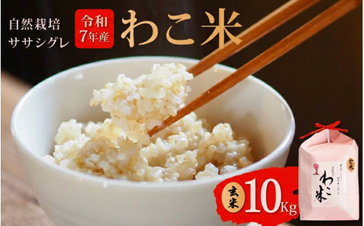 新米 予約 玄米 10kg ササシグレ 自然栽培 幻 お米 自然栽培米 令和7年産 数量限定 わこ米 米 コシヒカリ より あっさり 甘み 体 に やさしい 石川県 石川 羽咋 能登 予約 健康 復興支援 災害支援 先行予約