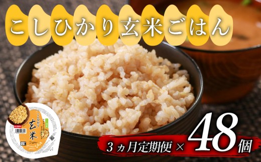 定期便 3回 こしひかり 玄米ごはんパック 160g 48個 玄米 米 ごはん ご飯 こめ パックライス パックご飯 パックごはん ご飯パック ごはんパック パック ライス 備蓄 保存 非常 防災 電子 レンジ 温めるだけ レンチン 健康 ダイエット 美容 ヘルシー レトルト インスタント おいしい 人気 おすすめ 48 48食 おくさま印 人気の玄米ご飯パック 美味しい玄米ご飯パック 大阪 松原 2306891 - 大阪府松原市
