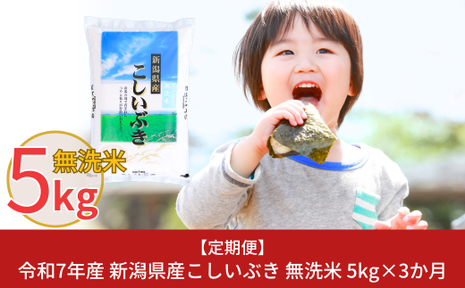 新米 先行予約 [定期便5kg×3ヶ月] 令和7年産 無洗米 新潟県産こしいぶき  計15kg 3か月（3ヵ月）連続でお届け [株式会社白熊]【017S007】 869167 - 新潟県三条市