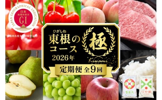 [2026年先行予約 9回 定期便]山形県 東根市産「極」コース さくらんぼ 桃 シャインマスカット りんご ラ・フランス お米 肉 hi999-038