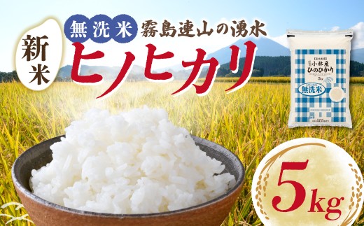 【先行受付】令和7年産米 無洗米ヒノヒカリ 5kg（国産 米 無洗米 新米 令和7年新米 ヒノヒカリ 宮崎県小林市）