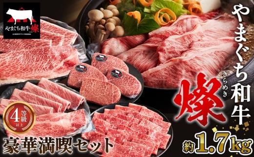 No.219 やまぐち和牛燦 豪華満喫セット 1.7kg（ももスライス400g・肩ローススライス400g・うで焼肉400g・希少部位ステーキ500g）（下松市） ／ 国産 牛肉 国産牛 肉 和牛 ブランド牛