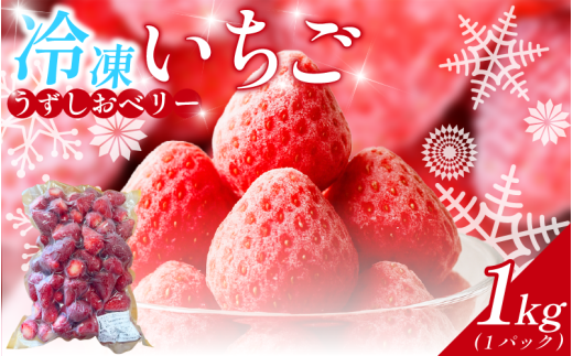 冷凍 いちご 苺 1パック 1kg うずしおベリー 冷凍イチゴ イチゴ 果物 ストロベリー フルーツ デザート 氷菓 スイーツ アイス スムージー 旬 新鮮 季節 冬 人気 ケーキ おすすめ ギフト プレゼント 先行予約 送料無料 徳島