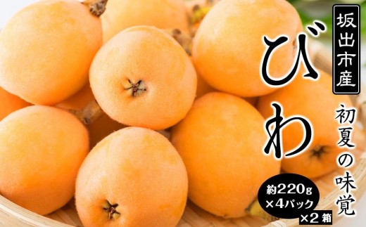 びわ 坂出市産 約1.8kg ( 4パック× 2箱 )｜初夏の味覚