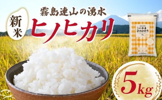 【先行受付】令和7年産米 ヒノヒカリ 5kg（国産 米 新米 令和7年新米 ヒノヒカリ 宮崎県小林市）