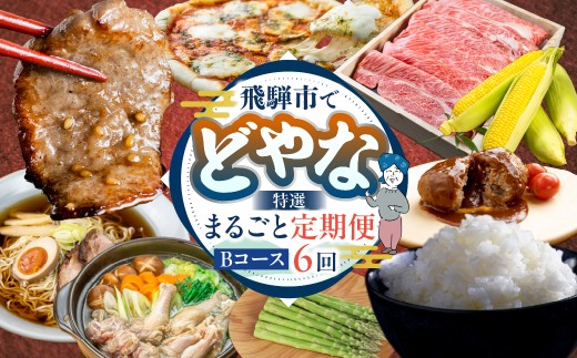 どやな飛騨市 定期便 Bコース いろいろ お届け 6ヵ月 6回   牛肉 肉 焼肉 飛騨牛 地鶏 米 新米 チーズ ピザ とうもろこし 定期便 お楽しみ 6回 半年 [Q3015] 100000円 10万円  飛騨市 2304924 - 岐阜県飛騨市