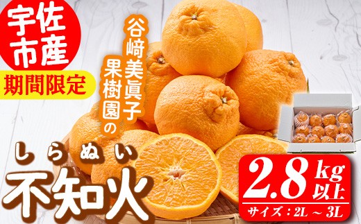 ＜先行予約受付中！2026年3月上旬～4月下旬の間に発送予定＞不知火(2L～3L・2.8kg～)みかん フルーツ しらぬい 柑橘 ミカン【113300300】【谷崎美眞子果樹園】