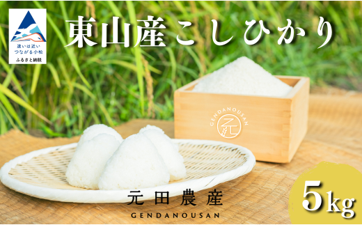 コシヒカリ 精米 5㎏ お米 白米 小松市 石川県 【元田農産】