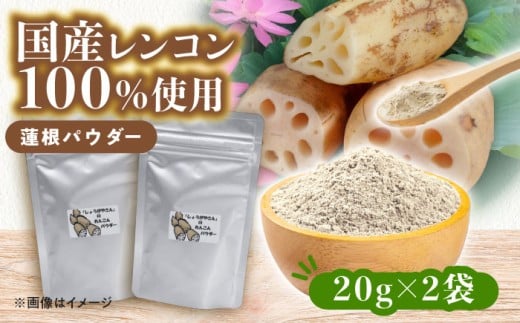 国産 れんこんパウダー 2袋 レンコン 調味料 野菜 愛西市 / しょうがやさん [配達不可:離島] [AEAO011]