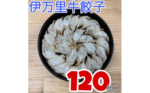 「餃子無尽」　伊万里牛餃子　120個 　209-G302 2318553 - 佐賀県伊万里市