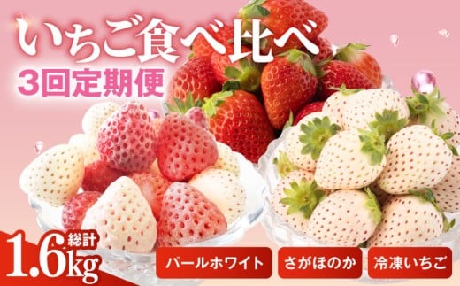 【R8年3月以降発送】【3回定期便】希少白いちご パールホワイト＆さがほのか、冷凍いちご【ハヤシダファーム】 九州 佐賀県 白石町 [IAQ010] 281935 - 佐賀県白石町