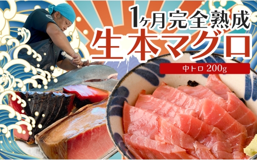 熟成 生 本マグロ 中トロ 200g 冷蔵 刺身用 国産 高知県産 養殖 高級 海鮮 お正月用｜熟成本まぐろ 鮪 まぐろ ギフト お取り寄せ 希少 贈答 グルメ おせち お歳暮 年末年始 ごちそう お正月グルメ お正月のごちそう 1ヵ月熟成 大月町 2302092 - 高知県大月町