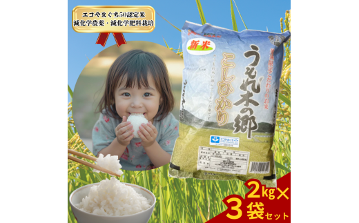 令和7年産 阿武町 「 うもれ木の郷 」 こしひかり 2kg×3袋 【 エコやまぐち認証 】  1079547 - 山口県阿武町