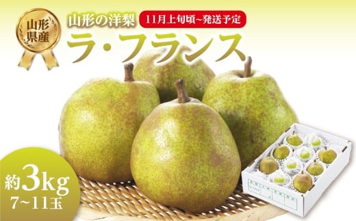 《先行受付》ラ・フランス 約3kg （7～11玉） 【2025年11月上旬頃～発送予定】【山形洋梨】
