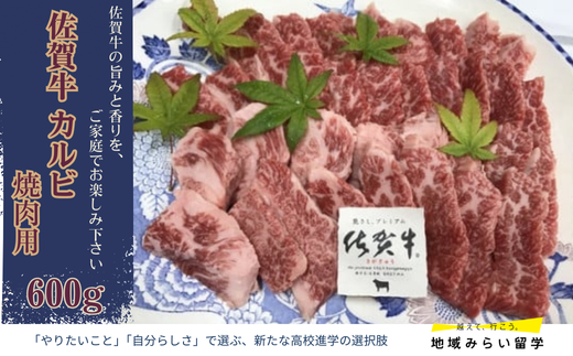 画像はイメージです。実際のお届けは600g。返礼品以外のものは含まれません。