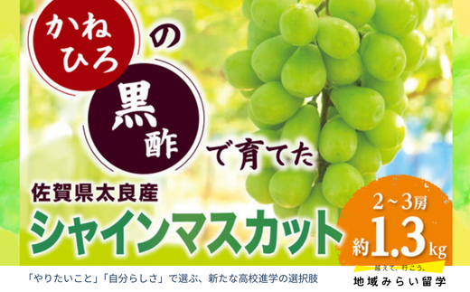 画像はイメージです。