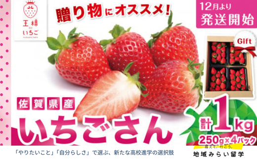 画像はイメージです。実際のお届けは1kg(250g×4箱)。
