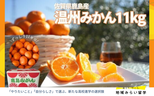 画像はイメージです。箱には「鹿島みかん」と印刷していますが、品種は「温州みかん」です。