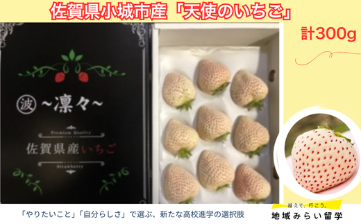 画像はイメージです。