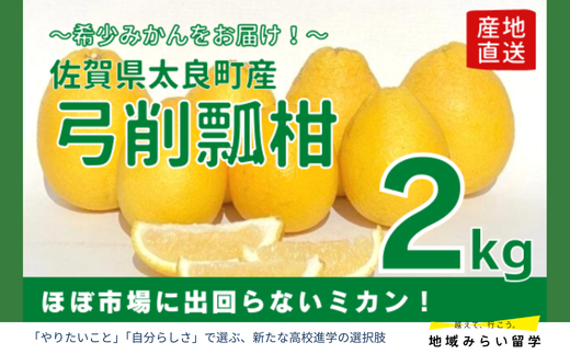 画像はイメージです。