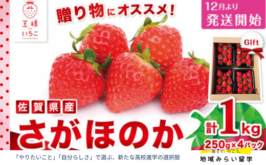 画像はイメージです。実際のお届けは1kg(250g×4箱)。