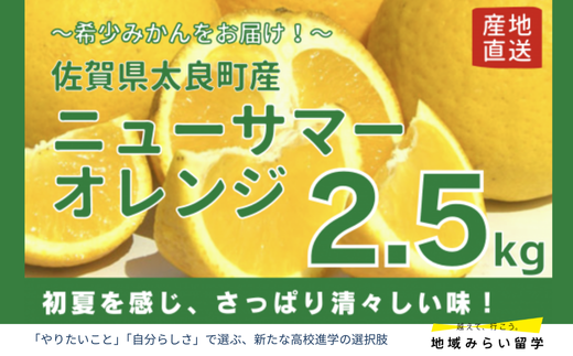 画像はイメージです。