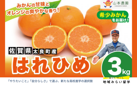 画像はイメージです。