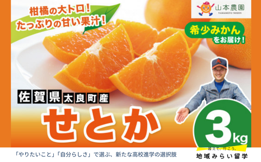 画像はイメージです。