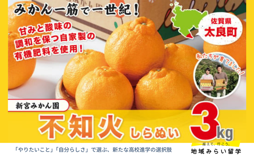 画像はイメージです。返礼品以外のものは含まれません。