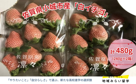 画像はイメージです。