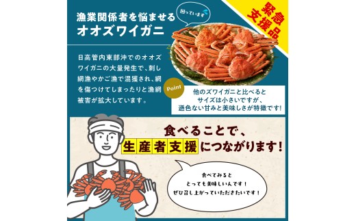 アイテムID:394944の画像2枚目