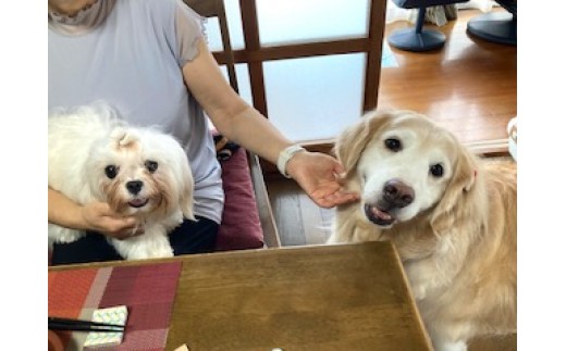 色々な方が色々な旅のスタイルでご利用いただいております。