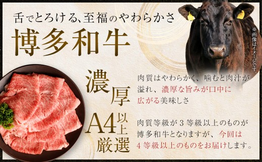 【食べ比べ】佐賀牛＆博多和牛リッチな霜降り大判切り落とし 1kg（500g×2）