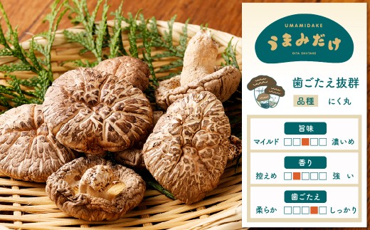 うまみだけ 食べくらべセット 40g×8袋 計320g