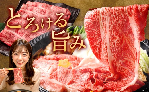 佐賀牛リッチな霜降り大判切り落とし 1.5kg（500g×3）