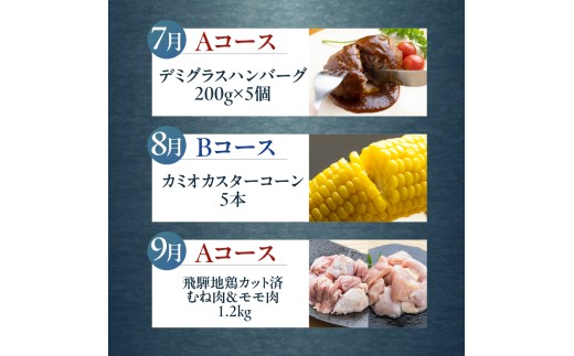 飛騨市でどやな 特選まるごと定期便