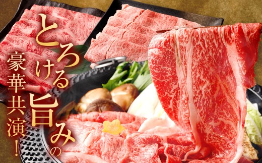【食べ比べ】佐賀牛＆博多和牛リッチな霜降り大判切り落とし 1kg（500g×2）