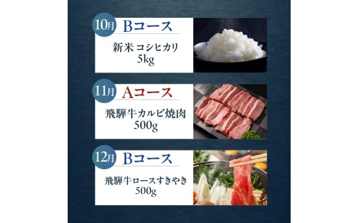飛騨市でどやな 特選まるごと定期便