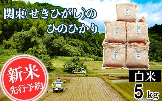 【令和7年産】関東(せきひがし)のひのひかり 白米 5kg 真空 パック 熊本県 南関町産 単一原料米 ヒノヒカリ 産地直送 お米 394048 - 熊本県南関町